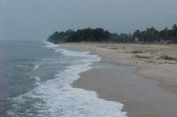 beach2.gif (19396 bytes)