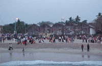 beach4.gif (18962 bytes)