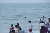 beach6.gif (16639 bytes)