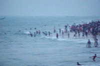 beach7.gif (18705 bytes)