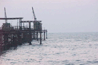 beach8.gif (18970 bytes)