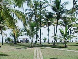 seen.jpg (28895 bytes)