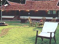 garden.jpg (17087 bytes)