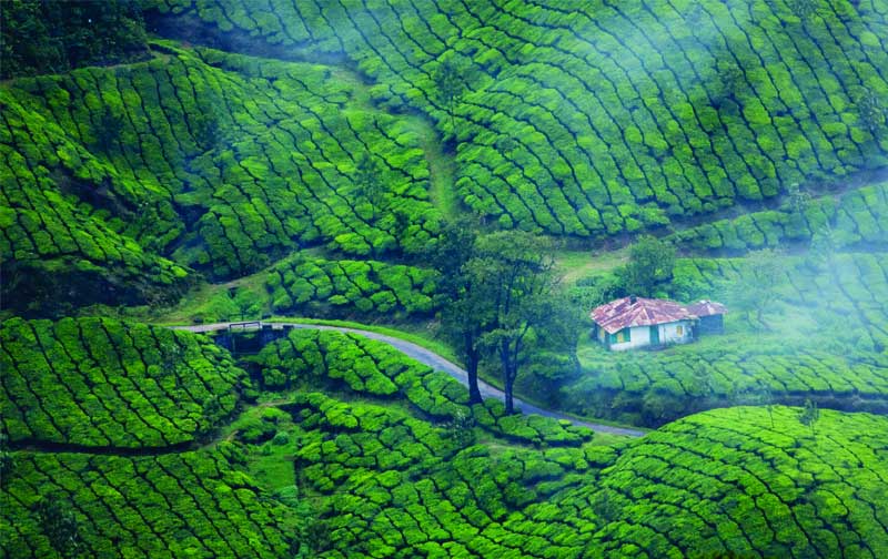 Explore Central Kerala Packages