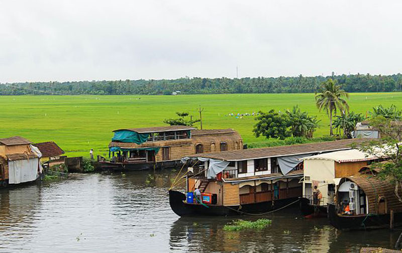 Alleppey Holiday Packages