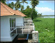 taamara-alappuzha